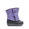 Paisley Purple